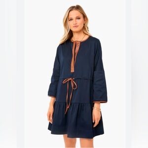 Tuckernuck Navy and Brown Dress